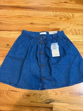 Zara Blue Denim Button-Front Skater Skirt
